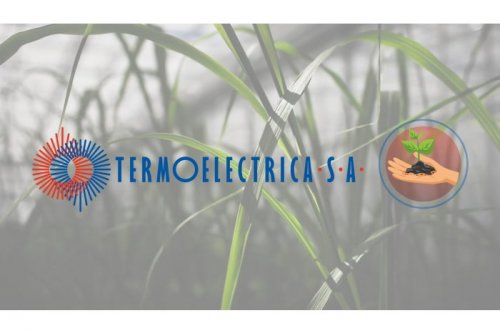"Termoelectrica" будет производить теплоэнергию из биомассы